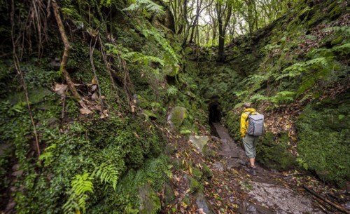 Hiker on a hiking trail