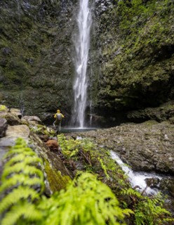 Hikers in front of a waterfall on a steep rock face