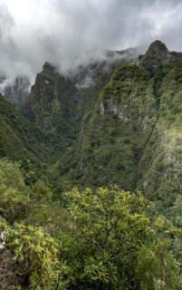 View of steep forested cloud-covered mountains