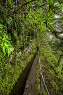 Hikers on a narrow path along a levada