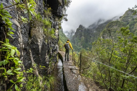 Hikers on a narrow path along a levada