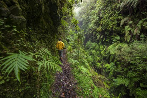 Hikers on a narrow footpath