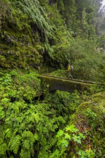 Hikers on a bridge over a small gorge