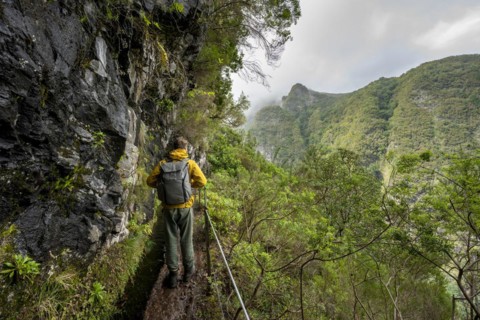 Hikers on a narrow path along a levada