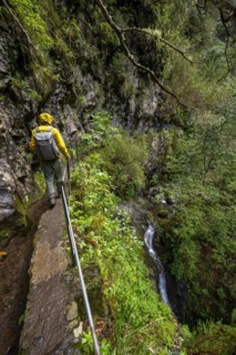 Hikers on a narrow path along a levada