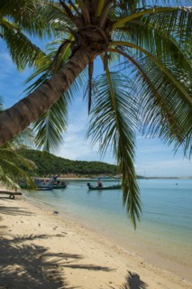 Palm Beach