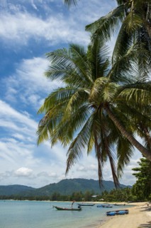 Palm Beach