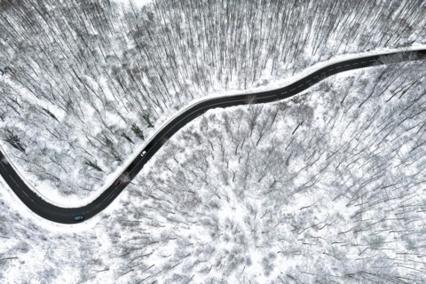 Winding country road leads through a forest in the Swabian Alb