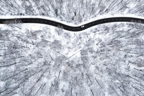 Winding country road leads through a forest in the Swabian Alb