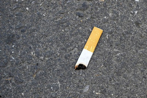 Cigarette butts