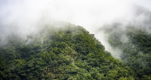 Mountains with fog