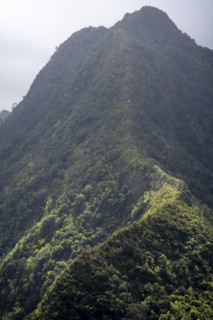 Curving ridge
