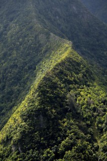 Curving ridge