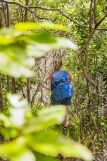 Adventure