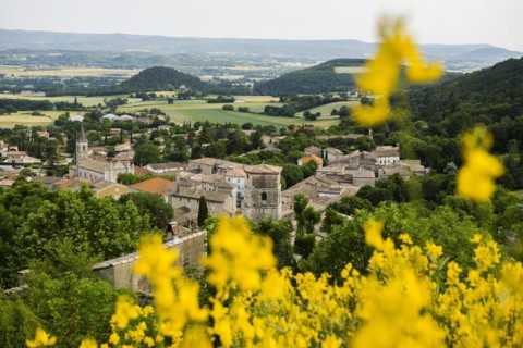 Marsanne