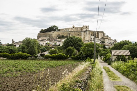 Village view with castle