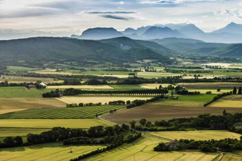 Landscape near Marsanne