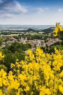 Marsanne