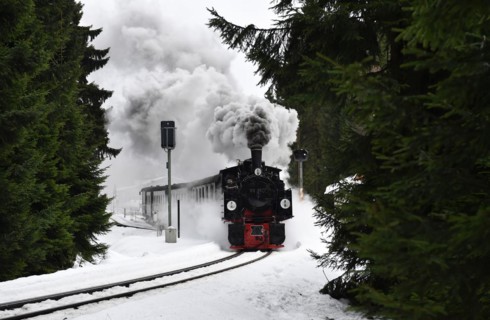 Mallel locomotive