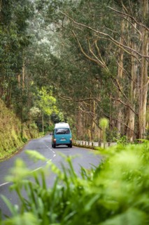 VW bus on a road in the forest