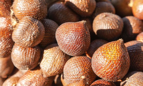 Salak fruit