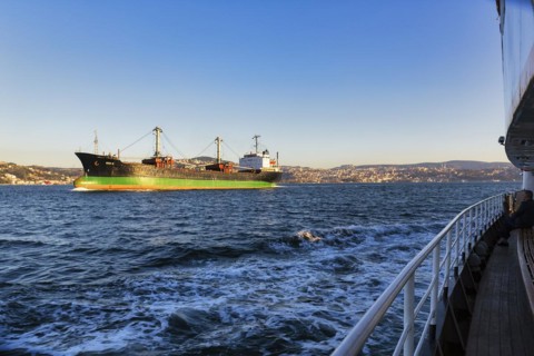 Bulk carrier Seba M