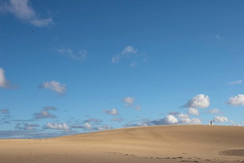 Dune