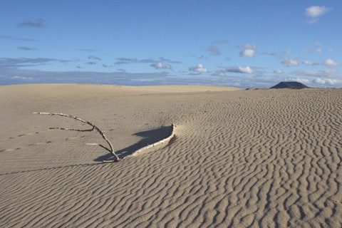 Sand desert with wave pattern