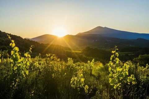 Mont Ventoux