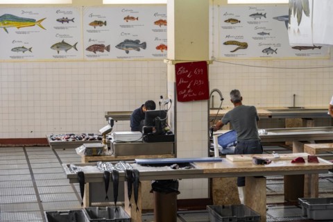Fish market at the Mercado dos Lavradores