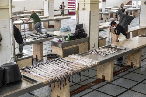 Fish market at the Mercado dos Lavradores