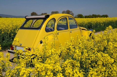 Classic car