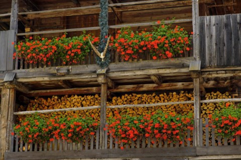 Old farmhouses with floral decorations in the village of Sottoguda near Rocca Pietore Rocia