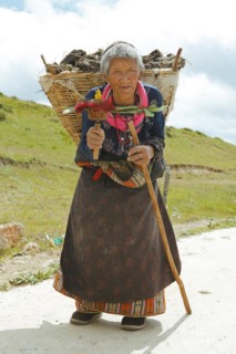 Old Tibetan woman with prayer wheel in her hand and yak dung basket on her back