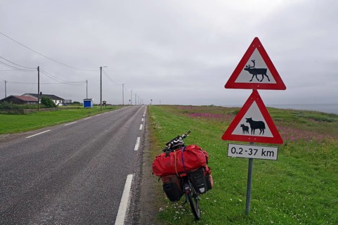 Sign warns of reindeer and sheep on the road