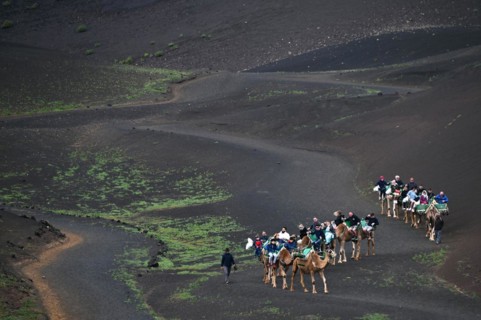Camel herd with tourists in Timanfaya National Park