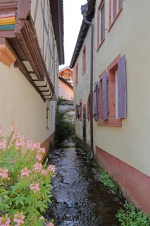 Narrow stream between houses