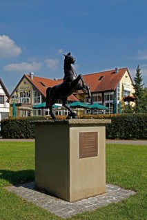 The black horse