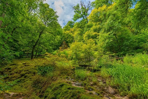 Below Urach waterfall