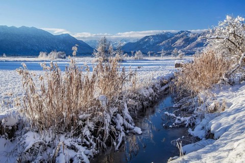 Winter landscape in the Murnauer moss with Estergebirge and Ammergau Alps