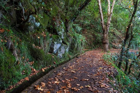 Hiking trail with levada