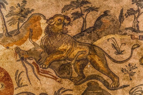 Herd of antelopes being pursued by predatory cats