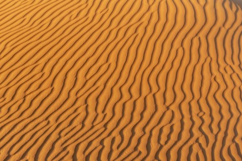 Natural patterns and ripples in the sand