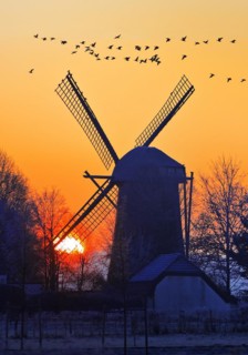 Dueffellandschaft with the windmill in Mehr at sunrise