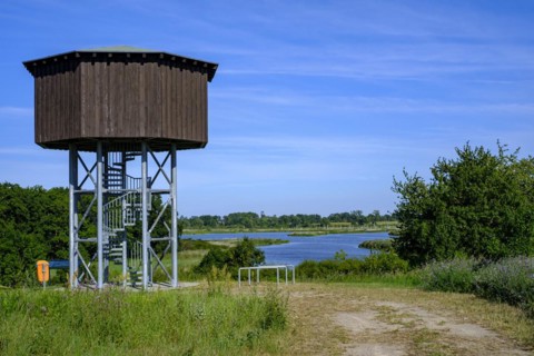 Observation tower over the Peene valley in Randow near Demmin