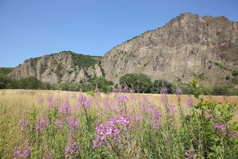 View of Rotenfels with landscape and narrow-leaved willowherb