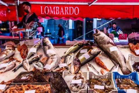 Historic fish market La pescheria with a cornucopia of colourful sea creatures