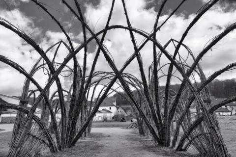Willow Palace in the Nethe Valley