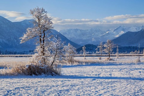 Winter landscape in the Murnauer moss with the Alpspitze 2628m in the Wetterstein Mountains