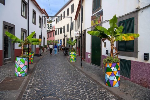 Cosy alleys and streets
